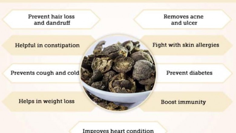 Buy the Best Organic Haritaki Here