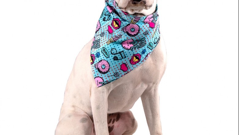 Look no Further than Toy Doggie for Custom Puppy Bandanas
