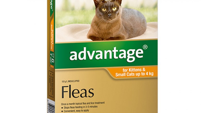 Buy Advantage Flea Control Treatment For Cats Online - DiscountPetCare