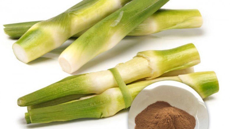 Bulk Organic Bamboo Extract Powder
