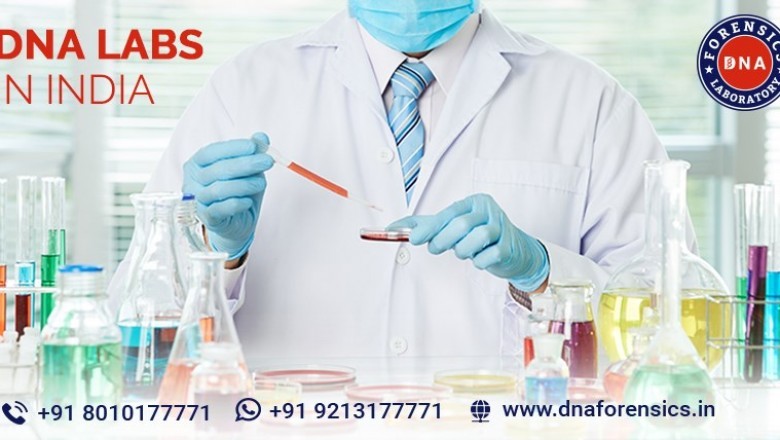 DNA Test Cost in Chennai
