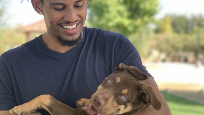 How to Deal With Dogs and Separation Anxiety during the Pandemic