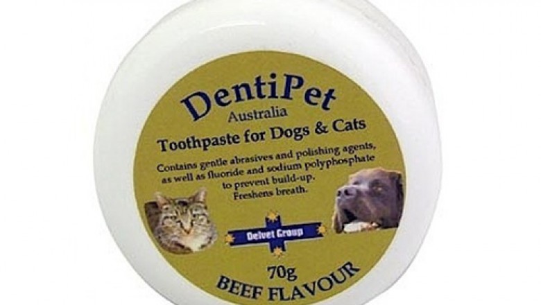 Buy Dentipet Toothpaste For Dogs and Cats Online - DiscountPetCare