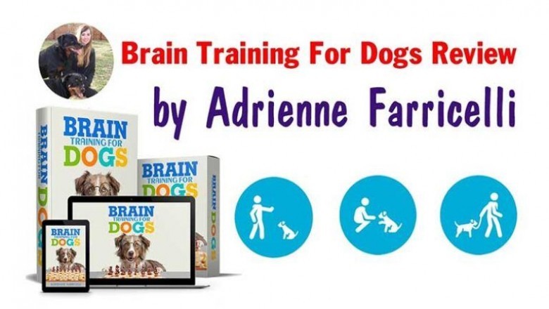 Brain Training For Dogs Review is how to get a puppy to stop biting | Tridom