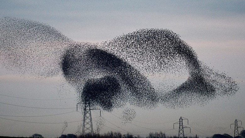 The swarm intelligence have a realistic and practical method for completing the required mission of finding and attacking a target.