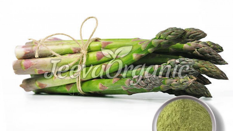 Organic Asparagus Extract Supplier