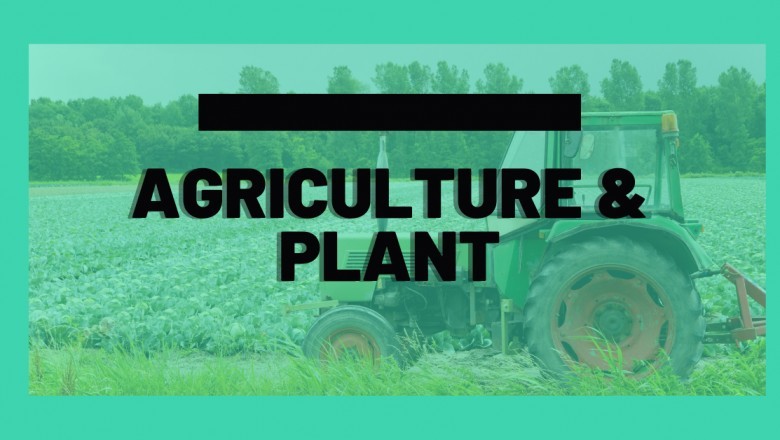 Global Grain Bins Market Status and Forecast 2021-2027