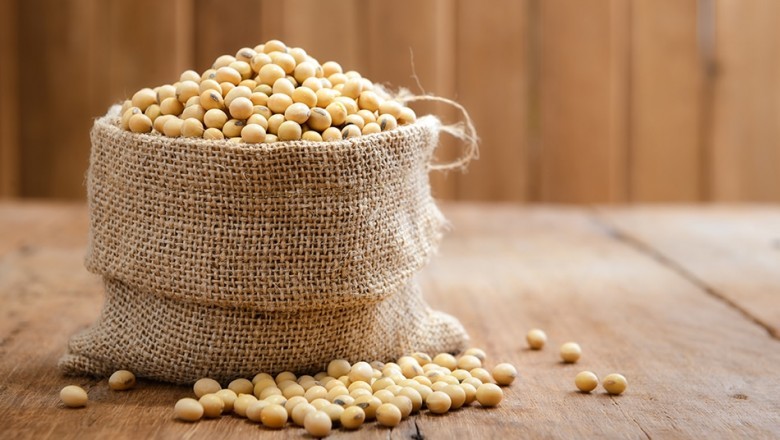 Soy Derivatives Market to See Striking Growth Rate by 2028, Fortune Business Insights™