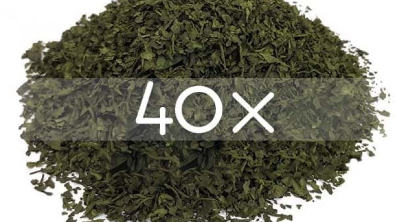 What Are Salvia Divinorum And Its Use?