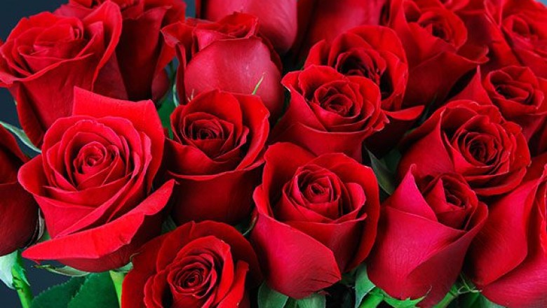 Top 5 Universal Flowers For The Men you love