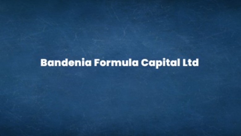 Bandenia Formula Capital LTD, Feature of Financial Intermediaries