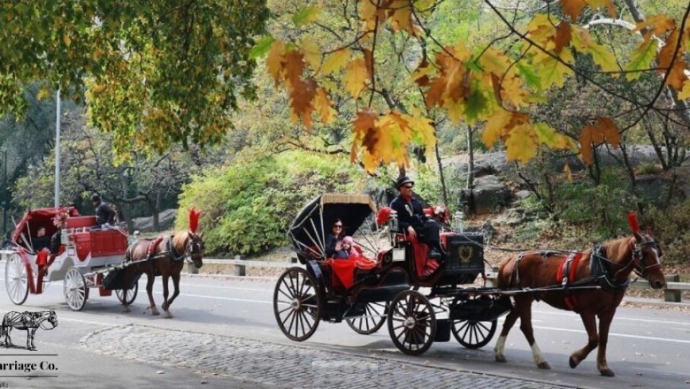 Horse Carriage Rides New York
