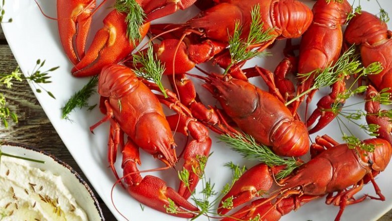 Crayfish Market Current Trends and Future Aspect Analysis