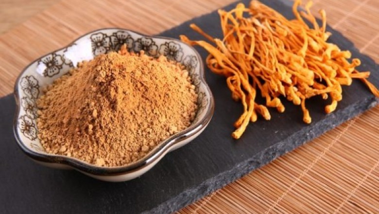 The Cordyceps Sinensis and Militaris Extract Market Is On Continuous Rise Due to the Increasing Prevalence of Chronic Diseases
