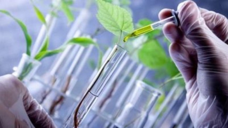 Comprehensive Analysis on Bio-Based Polyethylene Terephthalate Market Trends, Drivers, Strategies, Segmentation Application