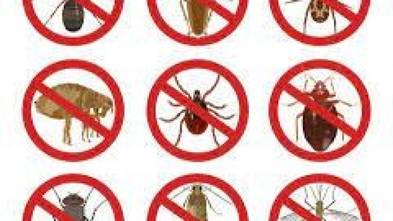 pest control crib point