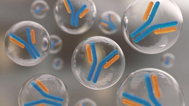 What role do antibodies play in the fight against pathogens like bacteria and viruses, and how are they made?