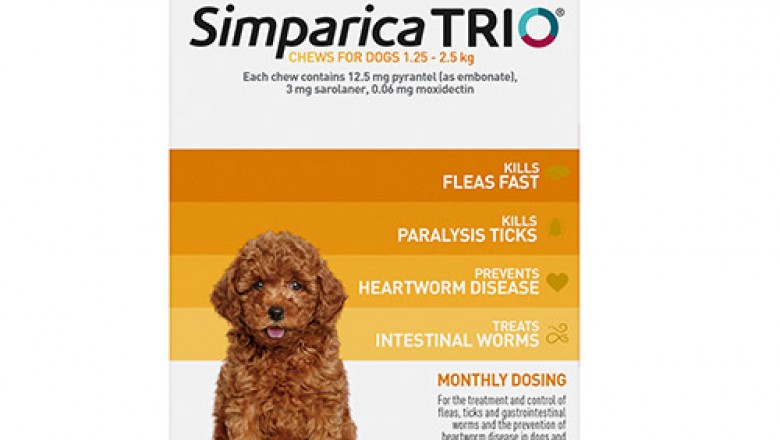 Buy Simparica Online At Lowest Price With Free Shipping - DiscountPetCare