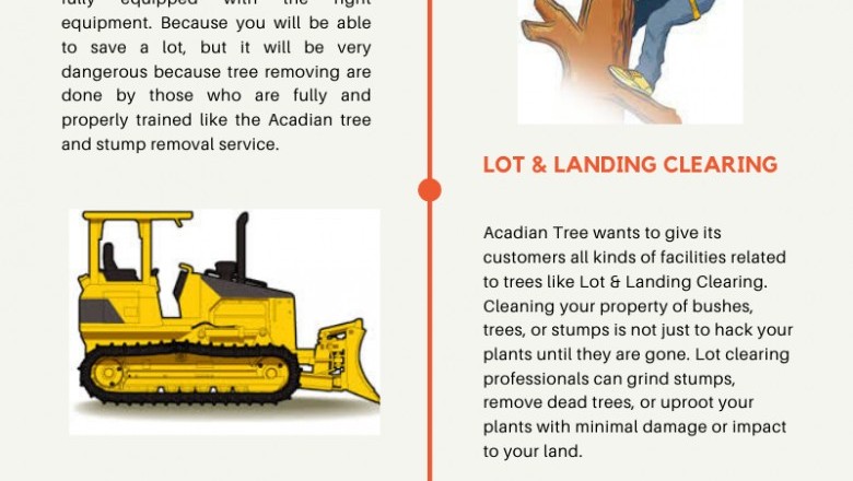 Covington Tree Removal | Acadian Tree and Stump Removal Service