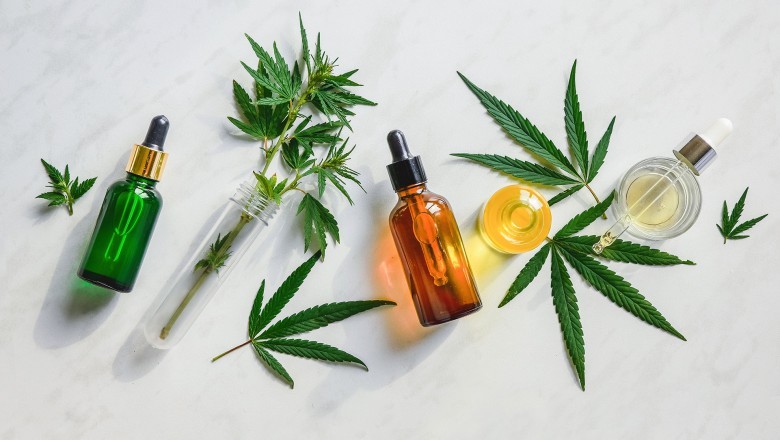 Everything you need to know about CBD oil