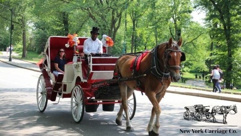 Horse Carriage Central Park | nyc horse carriage