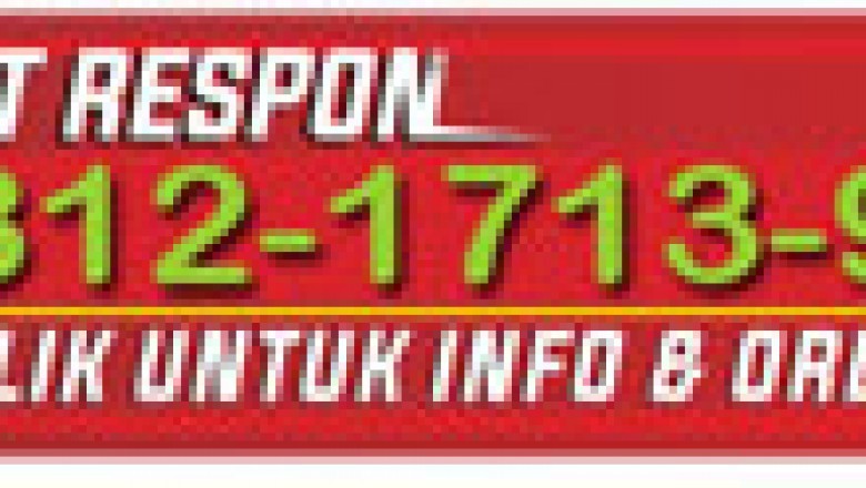 Jasa Jual Auto View Live IG