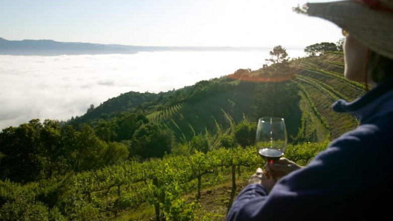 Mendoza Wine Tours