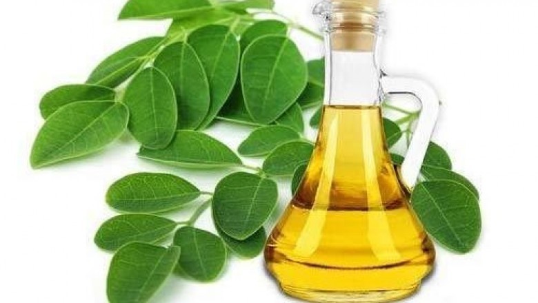 Trends and Factors Shaping Ben Oil Market Demand Dynamic and New Frontiers