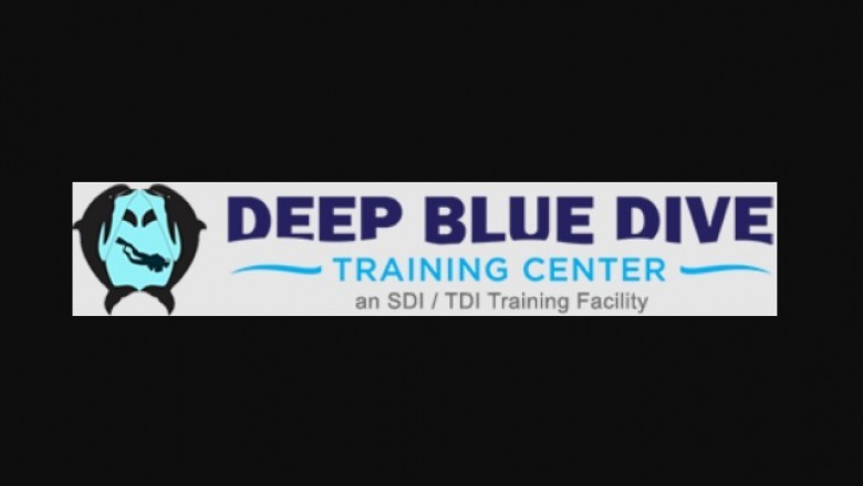 What Do You Find out in a Scuba Diving Course?