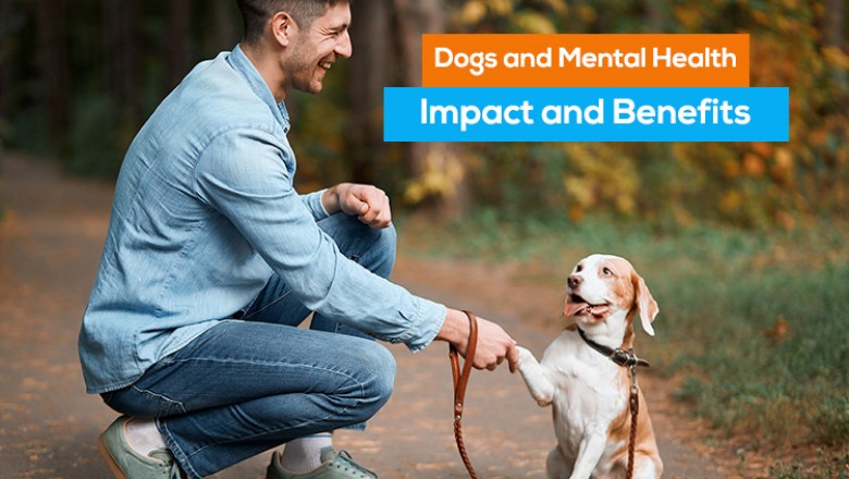 Dogs and Mental Health: Impact and Benefits