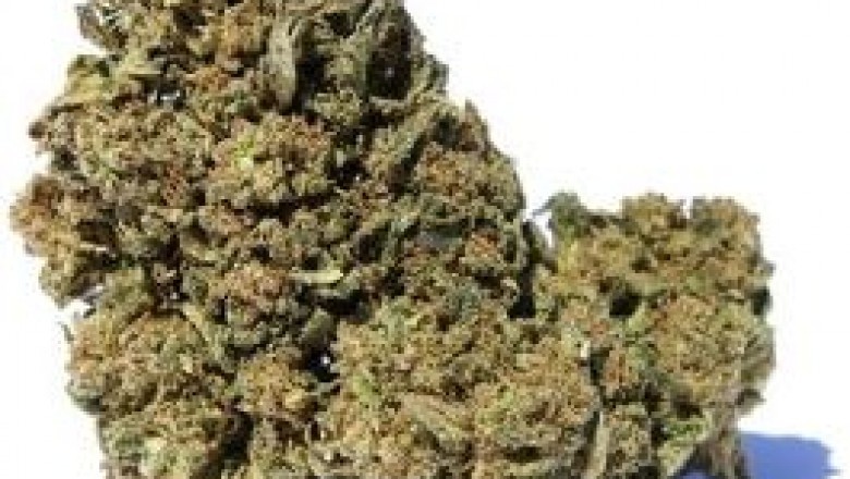 Kush Online Shop UK