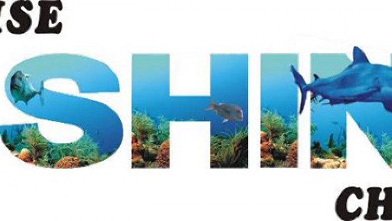 Paradise Fishing Charters