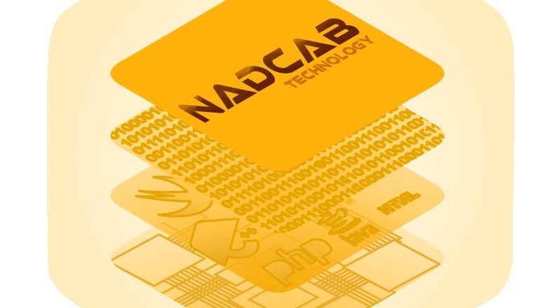 blockchain software developer