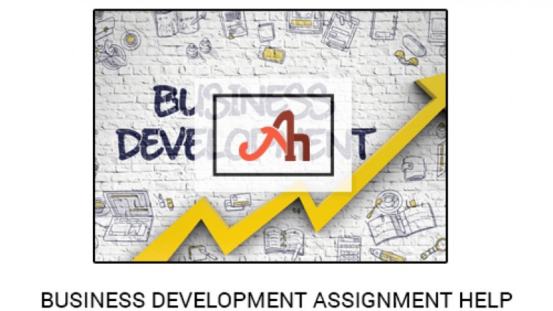 Business Development Assignment Help with full research!