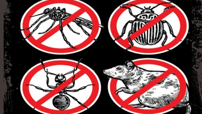 Pest Control Services in Thane – Sadguru Pest Control