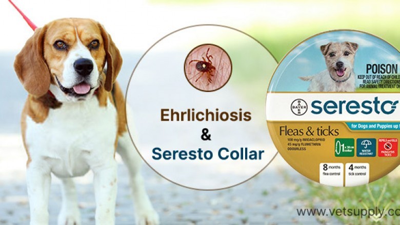 Ehrlichiosis And Seresto Collar