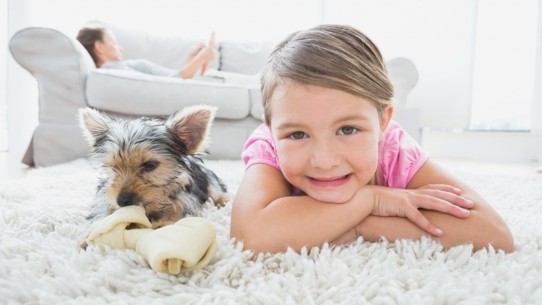 How To Know If You Need Rug Cleaning And How To Do It Yourself?
