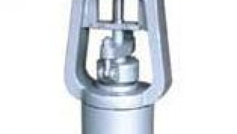 Pressure seal globe valve