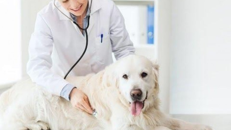 The animal parasiticides market, by animal type, is segmented into companion and food-producing animals