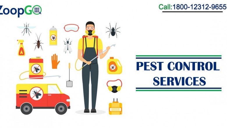 Why should you use eco-friendly pest control?