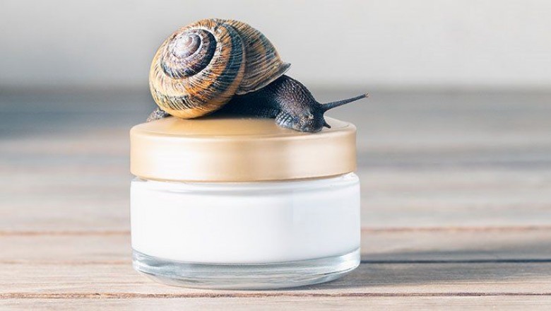 Snail Beauty Products; Help Treat a Variety of Skin Conditions Ranging From Wounds to Acne