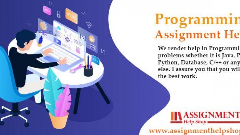 Why do Student seek help with their programming language assignment?