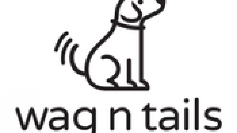 Top Toy Ideas for Your Dog