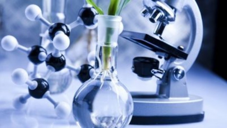 Biotech Ingredients Market in-depth Analysis of the Top investment, Top winning strategies and Opportunities