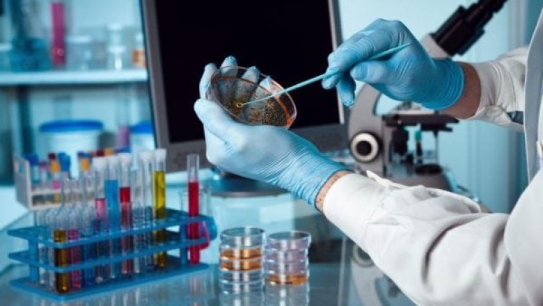 Global Bioadhesives Market is analyzed across type, application, and region by 2028
