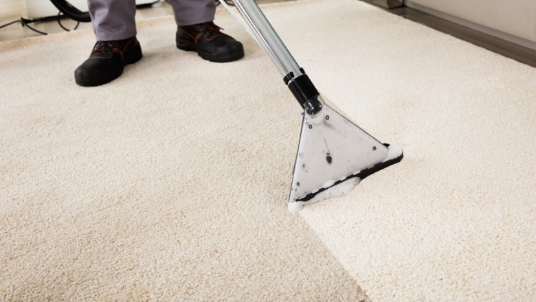 Hire Knowledgeable Carpet Cleaner | Carpet Nurse