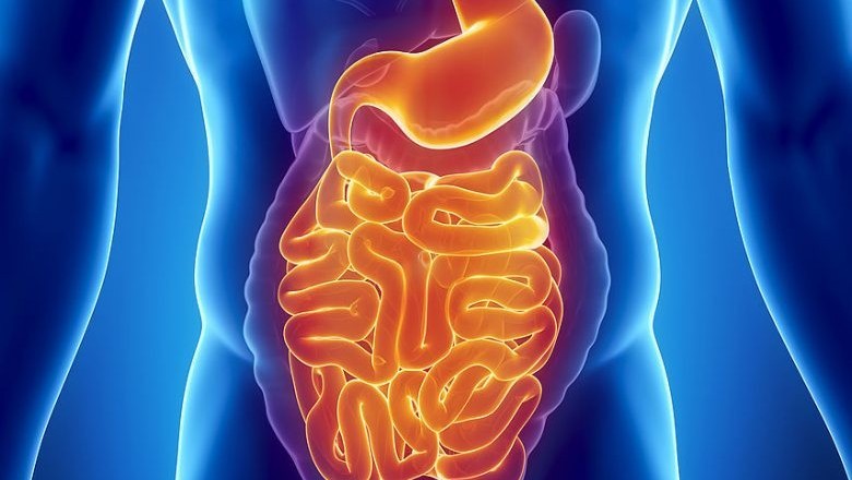 Visceral pain is a type of discomfort caused by inflammation of internal organs such as the uterus, stomach, rectum, and bladder.