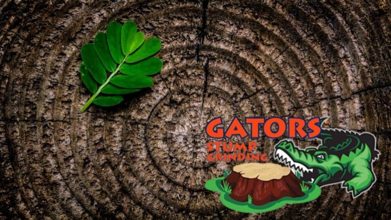 Gators Stump Grinding