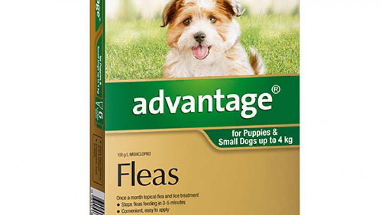 Buy Advantage For Small Dogs 4 Kg Green Pack | Low Prices | DiscountPetCare