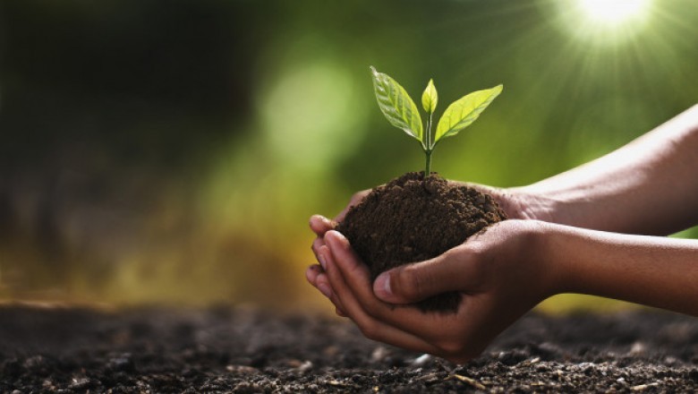 Advantages of Organic Fertilizers